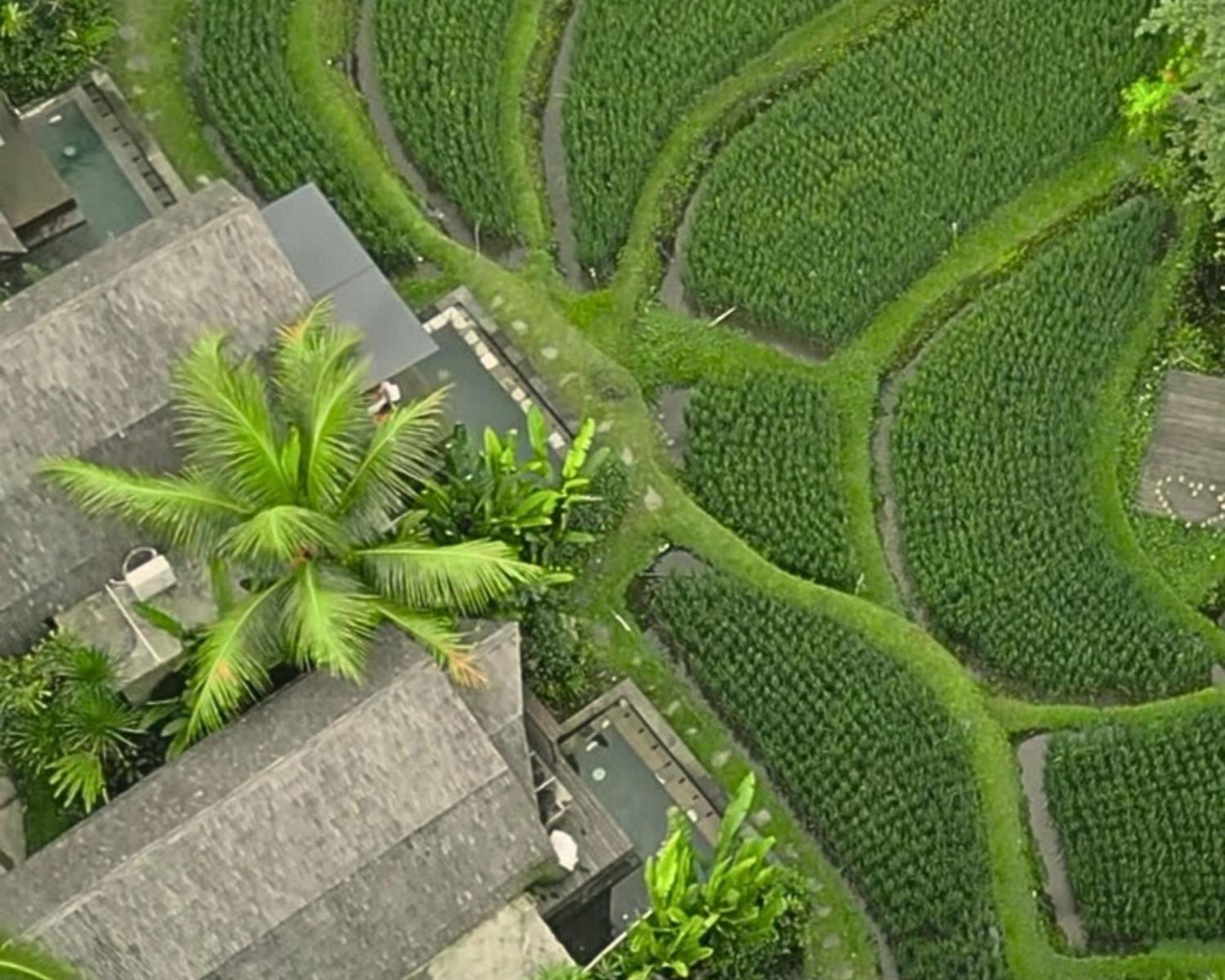 Menzel Ubud Eksteriør bilde